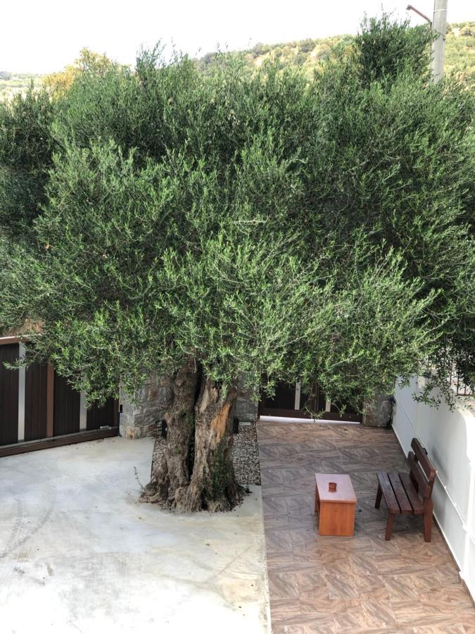 Creta Galini House Villa Sirilion Ngoại thất bức ảnh